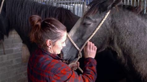 bbc horse|bbc horse xxx.